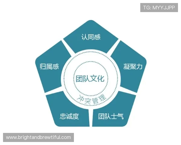 半岛在线登录平台全面升级，提升用户安全性与操作便捷性