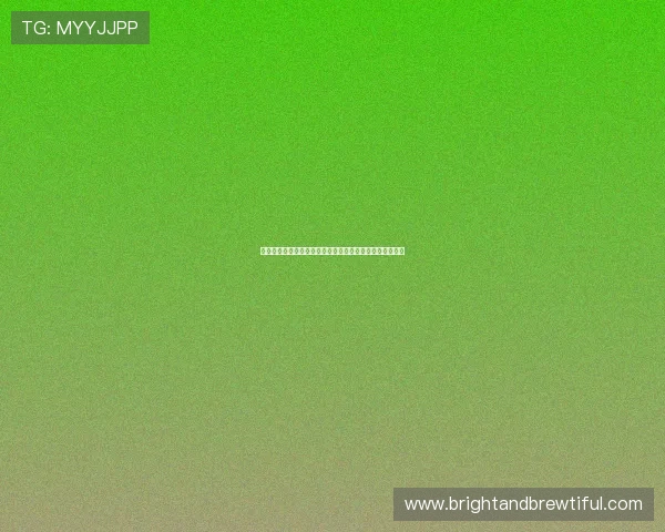 伊朗队防守反击战术在对阵比利时比赛中的应用及效果评估
